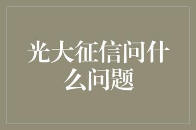 光大征信究竟在問什么？—— 深度解析企業(yè)信用調(diào)查與評(píng)估的核心維度